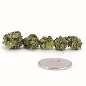 Future X - AAA+ (smalls dense buds)