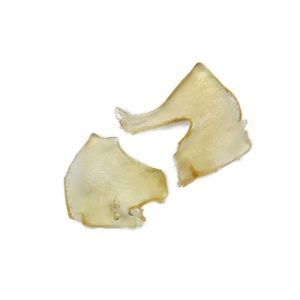 Jealousy "shatter" - Kyte Extracts