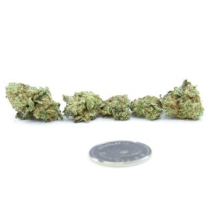 Blackberry OG - AAA+ (small buds)