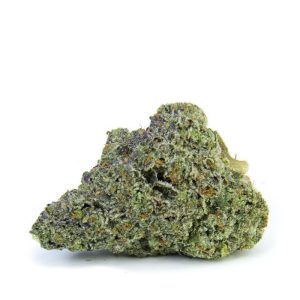 Frosted Melon Gelato - AAA+