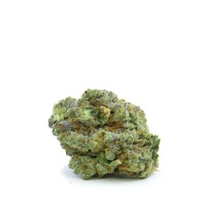 Gelato (smalls) - AAA