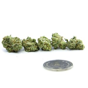 MK Ultra - AAA+ (smalls)