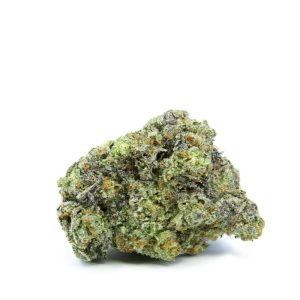 Gelato Cake - AAA+