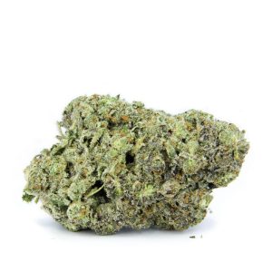 Frosted Gelato - AAA+