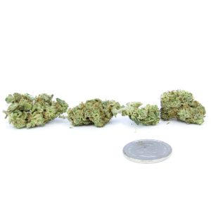 Jagger - AAA (small buds)