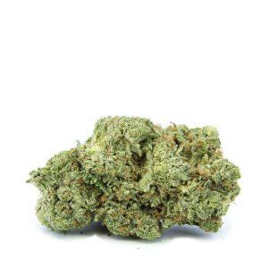 G-13 - AAA+ (medium/small sized buds)