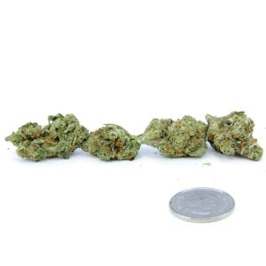 Strawberry Punch - AAA+ (small buds)